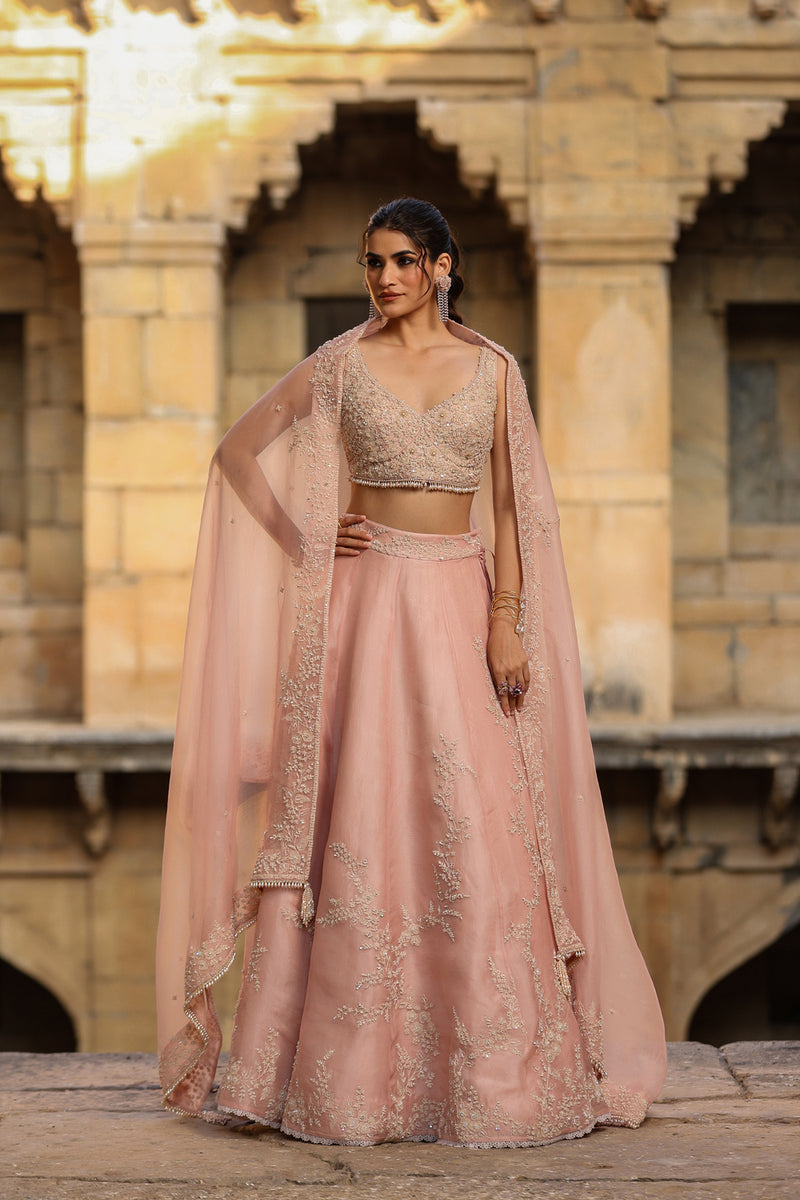 Vaayu Light Pink Jaal Lehenga Set organza lehenga sets by Niti Bothra in light pink for women Worldwide