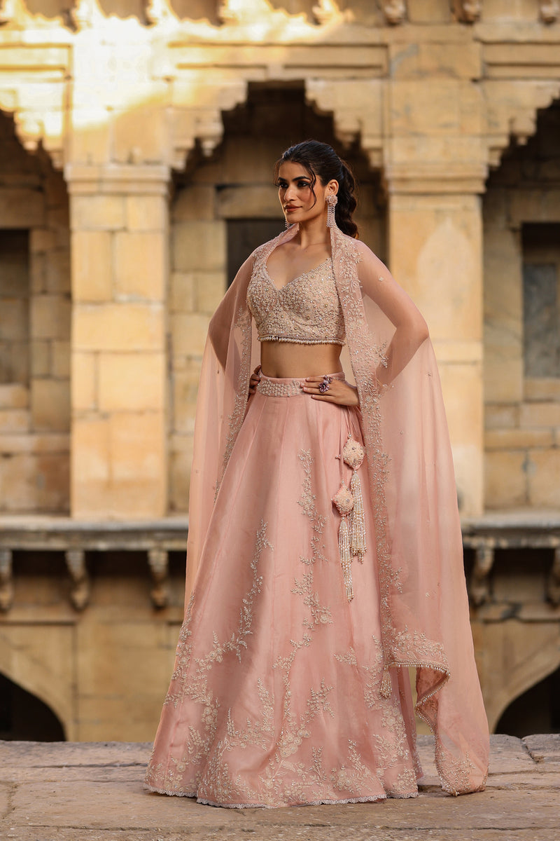 Vaayu Light Pink Jaal Lehenga Set organza lehenga sets by Niti Bothra in light pink for women Worldwide