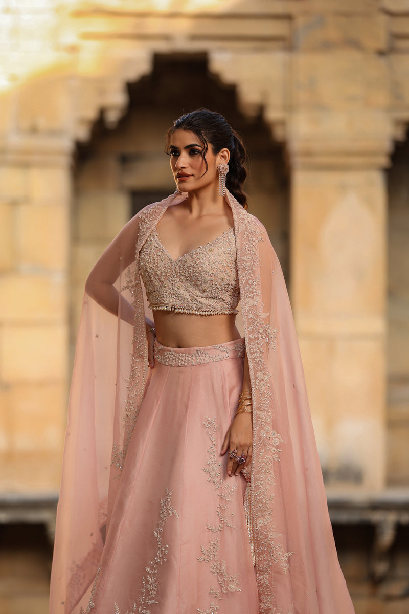 Vaayu Light Pink Jaal Lehenga Set organza lehenga sets by Niti Bothra in light pink for women Worldwide