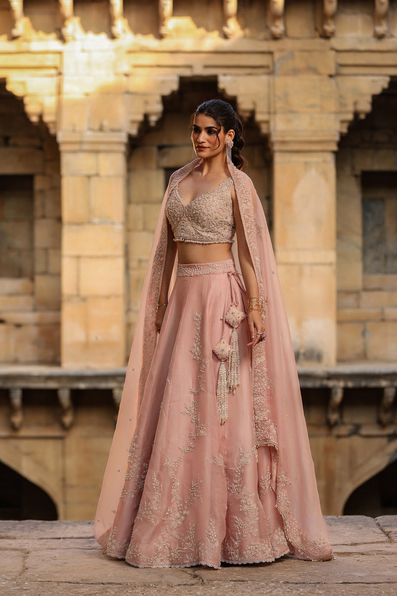 Vaayu Light Pink Jaal Lehenga Set organza lehenga sets by Niti Bothra in light pink for women Worldwide