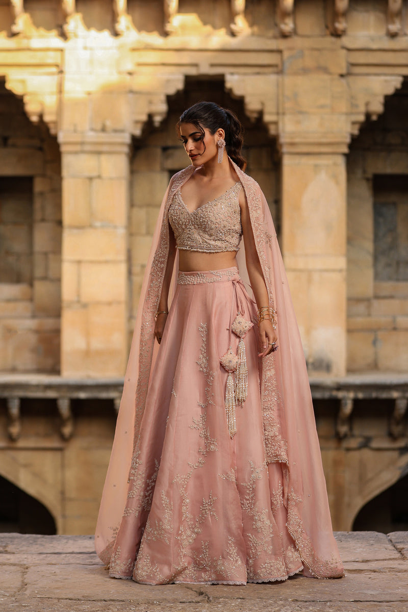 Vaayu Light Pink Jaal Lehenga Set organza lehenga sets by Niti Bothra in light pink for women Worldwide