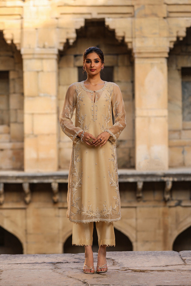 Vaayu Beige Phool Patti Kurta Set organza , silk tencel kurta/kurta set by Niti Bothra in beige for women Worldwide