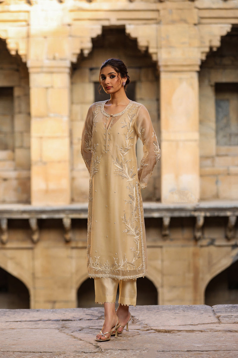 Vaayu Beige Phool Patti Kurta Set organza , silk tencel kurta/kurta set by Niti Bothra in beige for women Worldwide