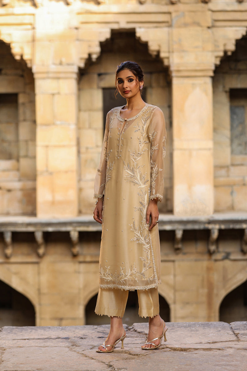 Vaayu Beige Phool Patti Kurta Set organza , silk tencel kurta/kurta set by Niti Bothra in beige for women Worldwide