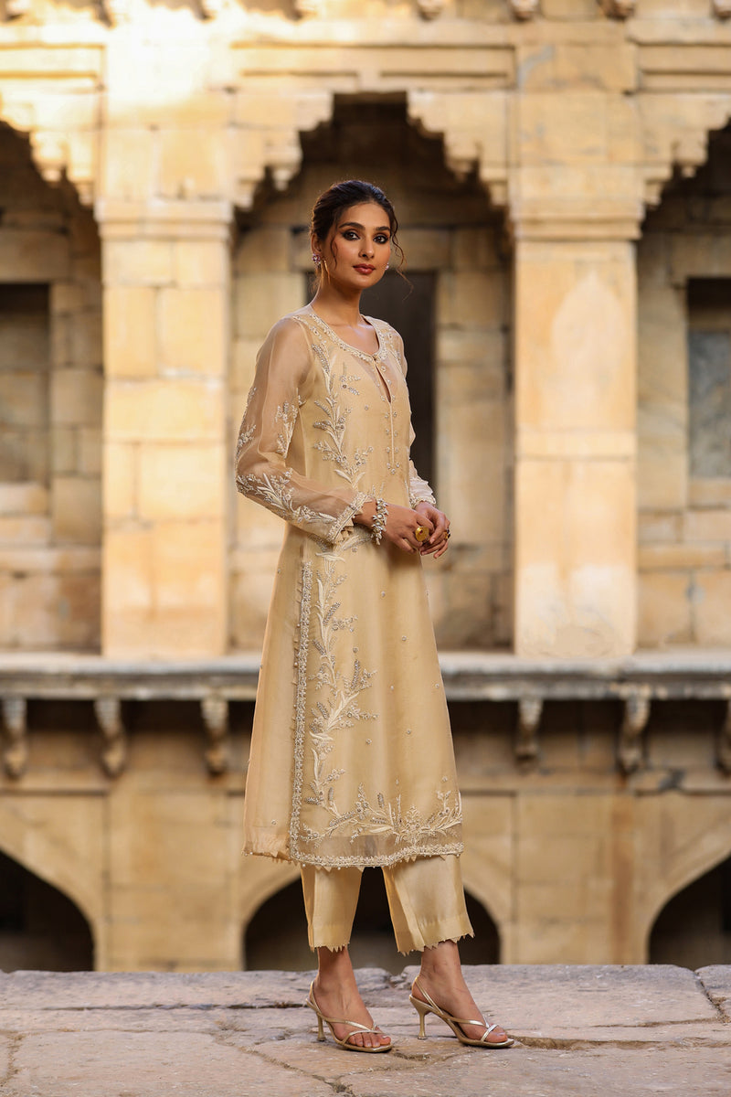 Vaayu Beige Phool Patti Kurta Set organza , silk tencel kurta/kurta set by Niti Bothra in beige for women Worldwide