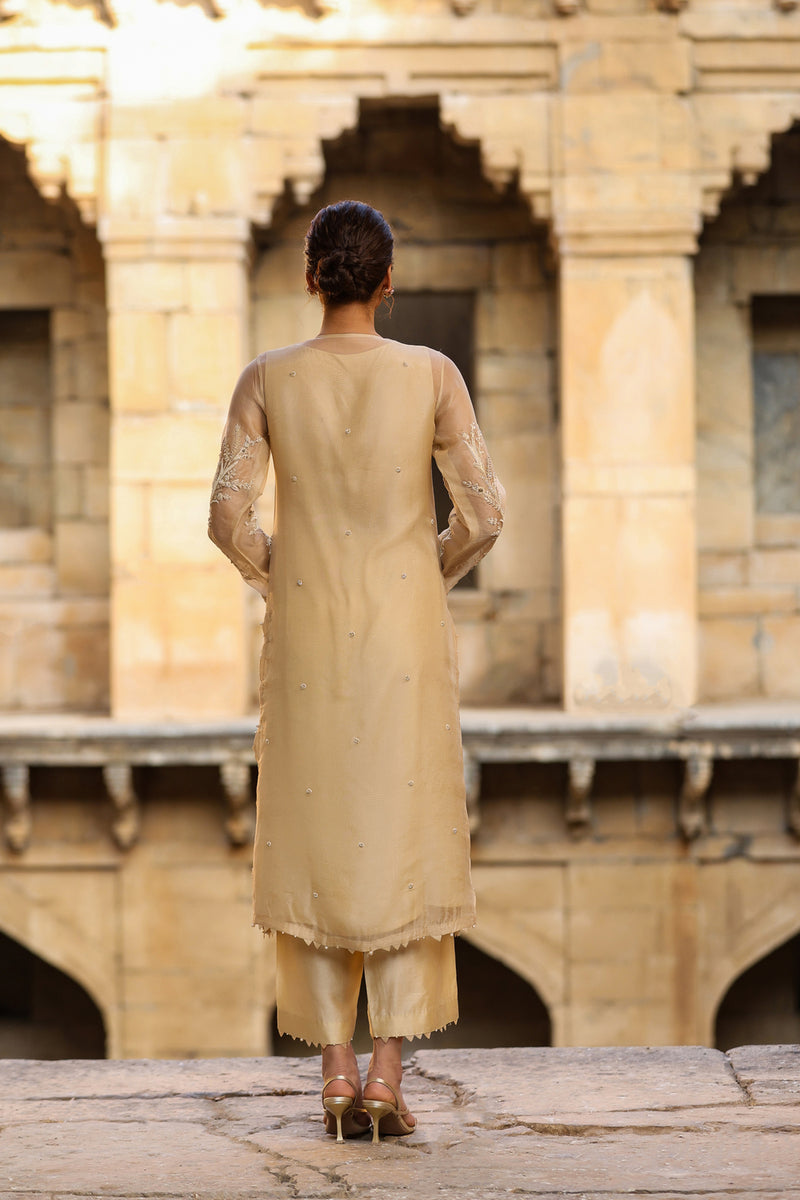 Vaayu Beige Phool Patti Kurta Set organza , silk tencel kurta/kurta set by Niti Bothra in beige for women Worldwide