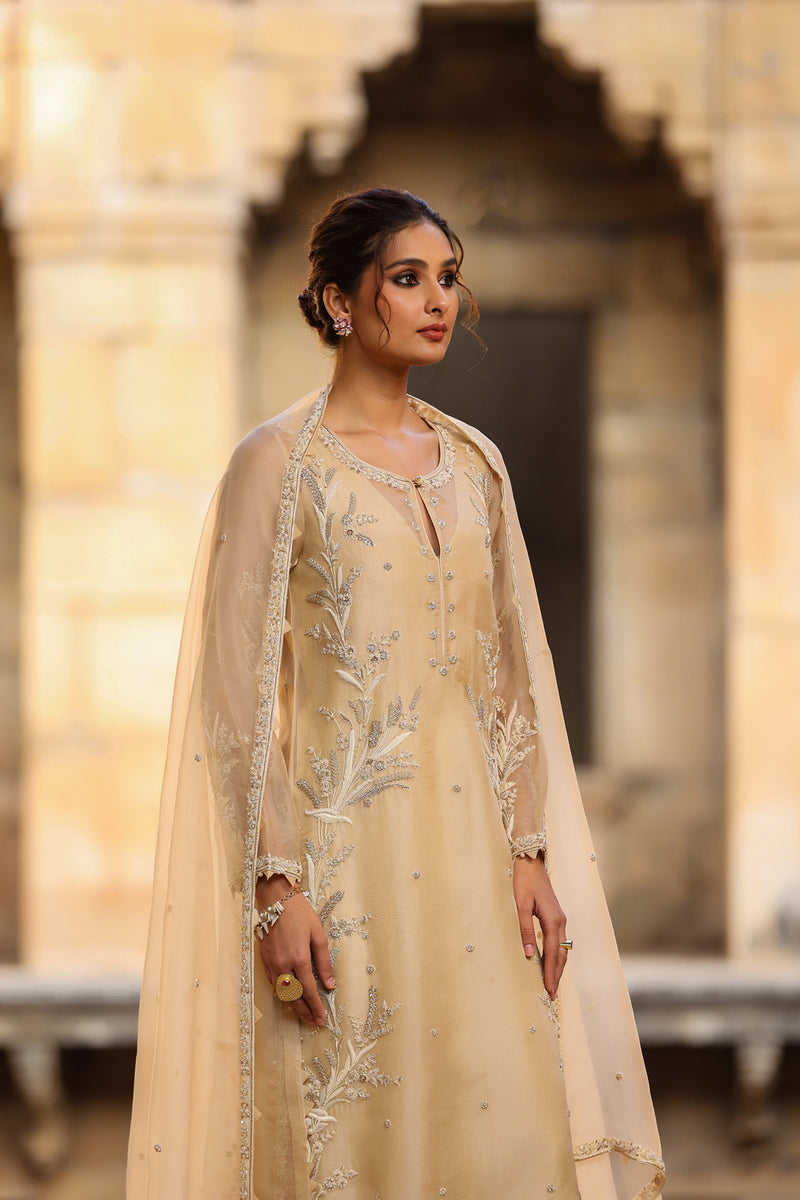 Vaayu Beige Phool Patti Kurta Set organza , silk tencel kurta/kurta set by Niti Bothra in beige for women Worldwide
