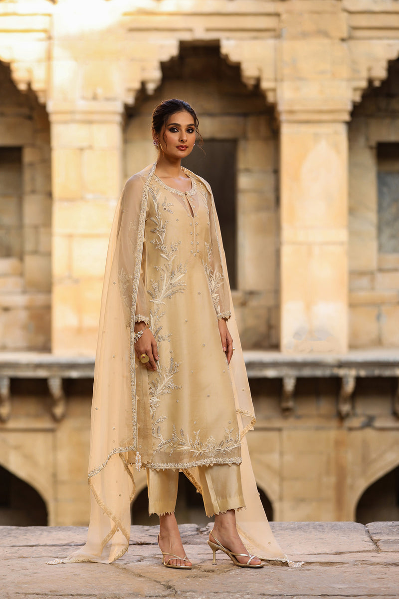 Vaayu Beige Phool Patti Kurta Set organza , silk tencel kurta/kurta set by Niti Bothra in beige for women Worldwide