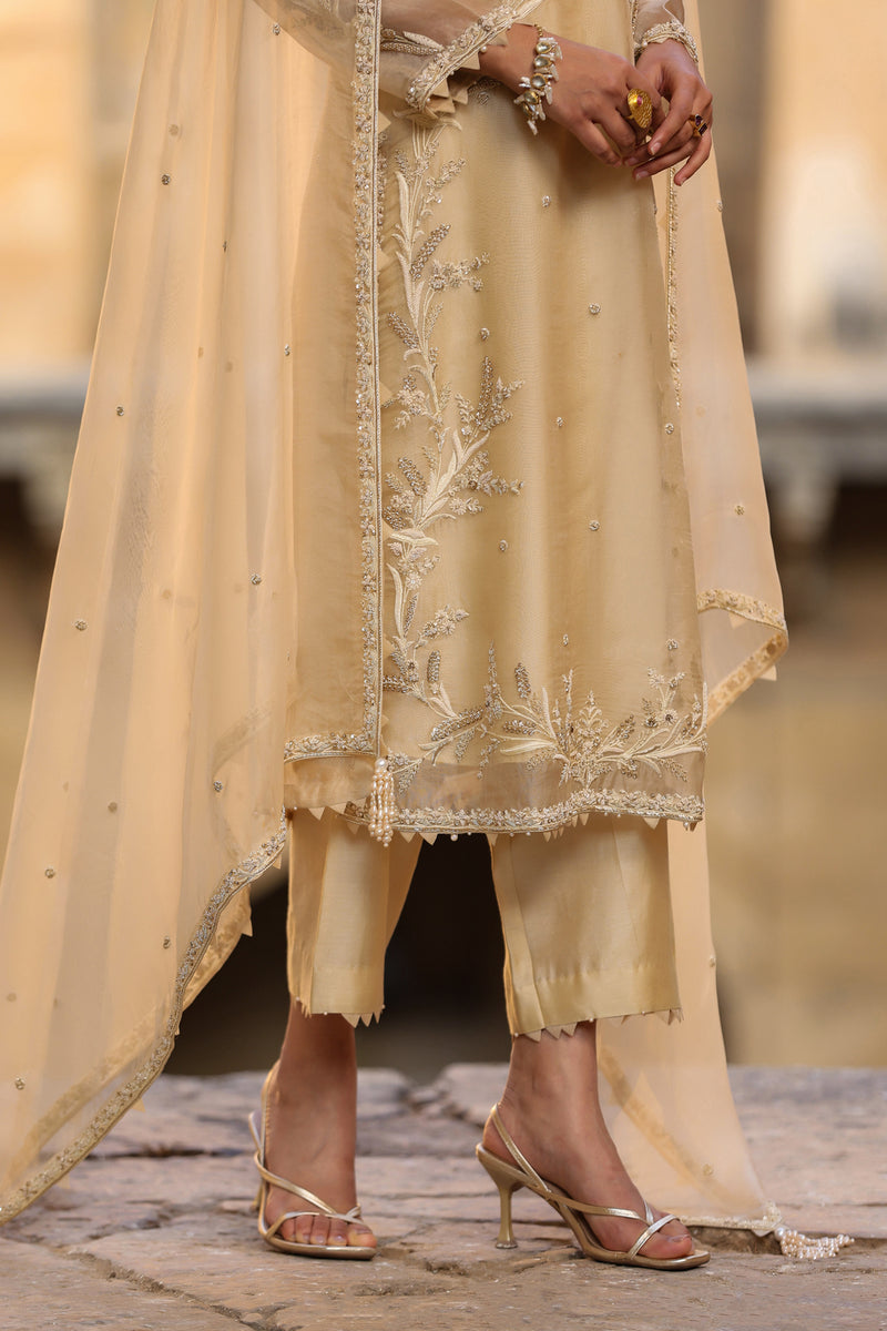 Vaayu Beige Phool Patti Kurta Set organza , silk tencel kurta/kurta set by Niti Bothra in beige for women Worldwide