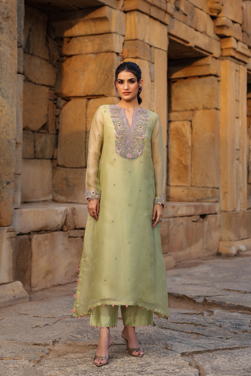Vaayu Green Heavy Neck Kurta Set organza , silk tencel kurta/kurta set by Niti Bothra in green for women Worldwide