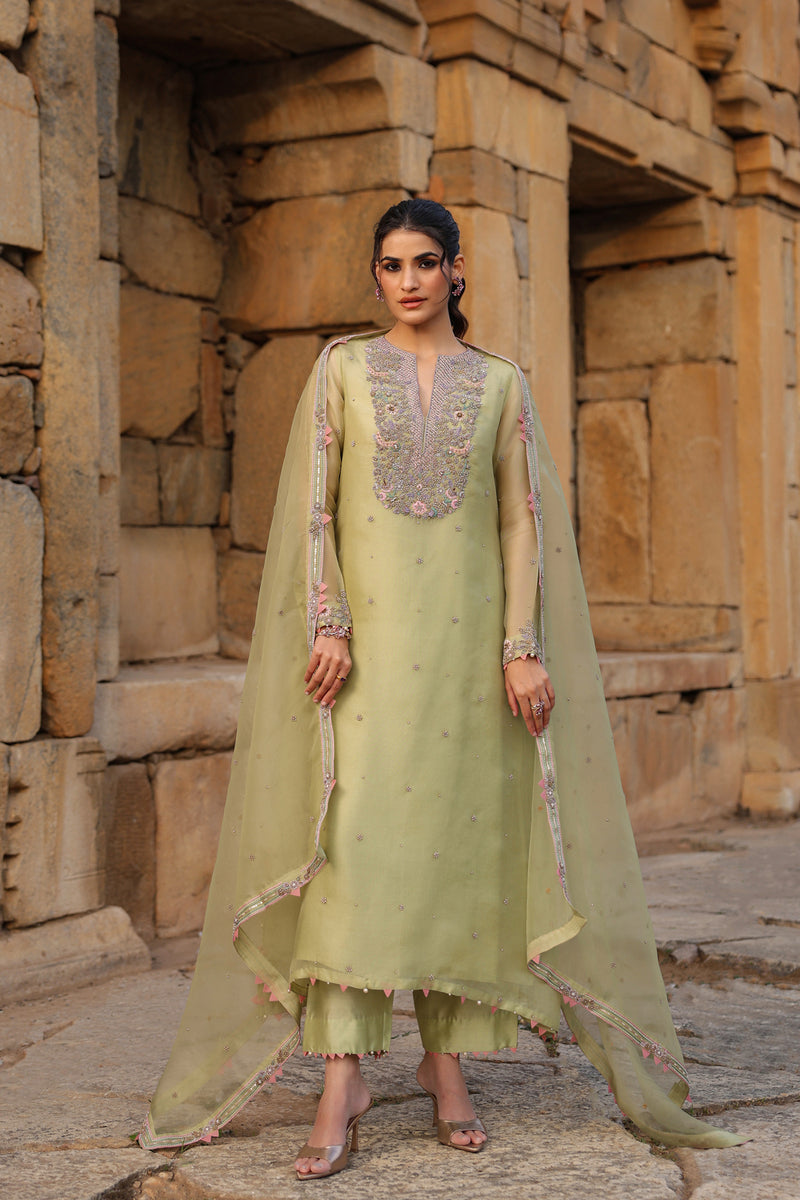 Vaayu Green Heavy Neck Kurta Set organza , silk tencel kurta/kurta set by Niti Bothra in green for women Worldwide
