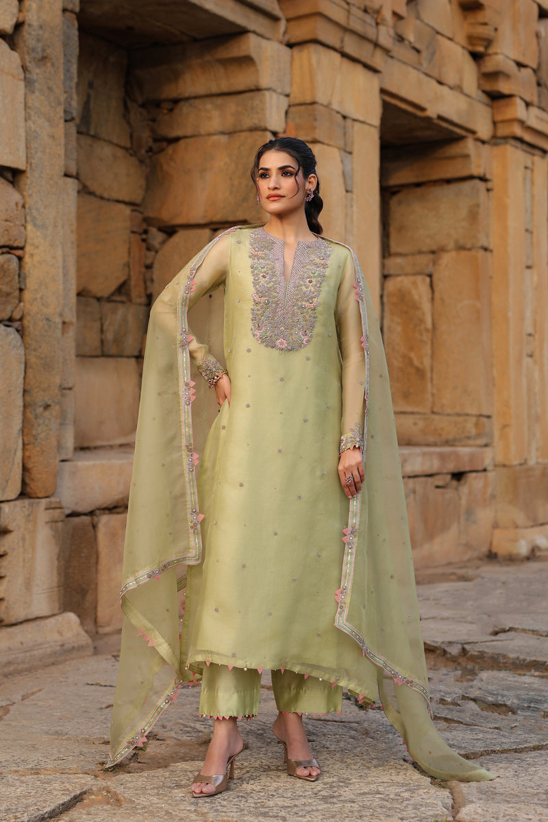 Vaayu Green Heavy Neck Kurta Set organza , silk tencel kurta/kurta set by Niti Bothra in green for women Worldwide
