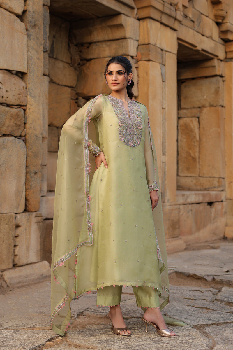Vaayu Green Heavy Neck Kurta Set organza , silk tencel kurta/kurta set by Niti Bothra in green for women Worldwide
