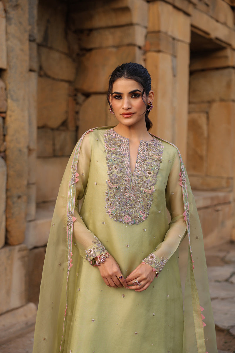 Vaayu Green Heavy Neck Kurta Set organza , silk tencel kurta/kurta set by Niti Bothra in green for women Worldwide