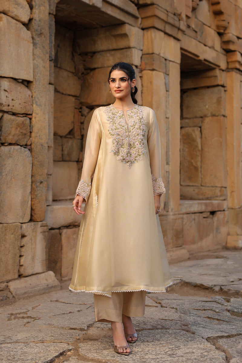 Vaayu Beige Pheran Kurta Set organza , silk tencel kurta/kurta set by Niti Bothra in beige for women Worldwide