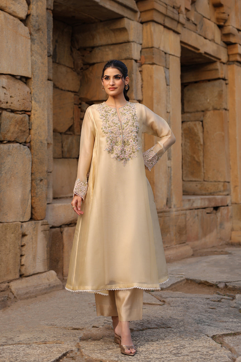 Vaayu Beige Pheran Kurta Set organza , silk tencel kurta/kurta set by Niti Bothra in beige for women Worldwide