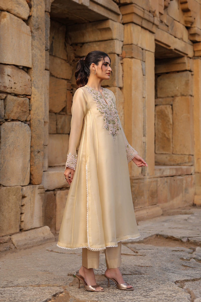 Vaayu Beige Pheran Kurta Set organza , silk tencel kurta/kurta set by Niti Bothra in beige for women Worldwide