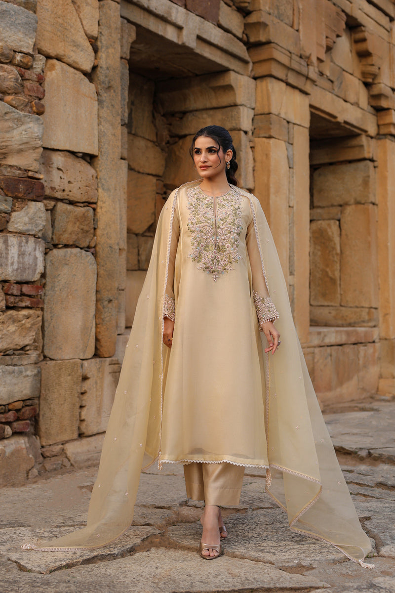 Vaayu Beige Pheran Kurta Set organza , silk tencel kurta/kurta set by Niti Bothra in beige for women Worldwide