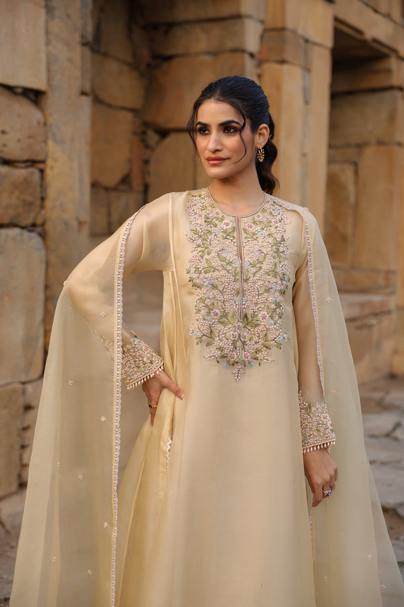 Vaayu Beige Pheran Kurta Set organza , silk tencel kurta/kurta set by Niti Bothra in beige for women Worldwide