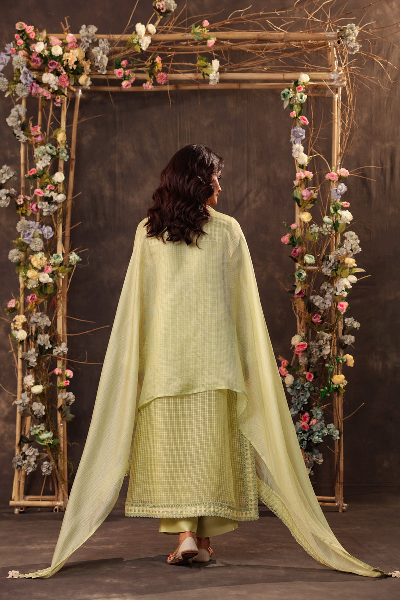 Vaayu Green Straight Long Kurta Set silk chanderi , silk tencel kurta/kurta set by Niti Bothra in green for women Worldwide