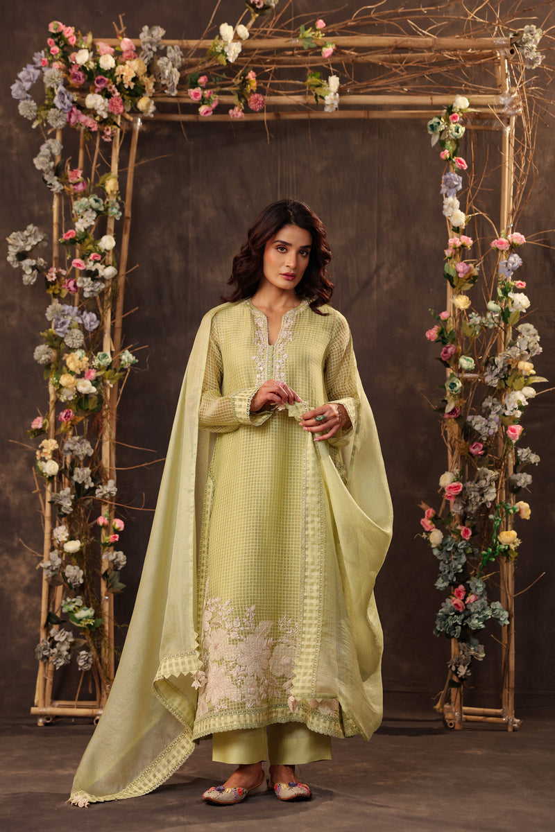 Vaayu Green Straight Long Kurta Set silk chanderi , silk tencel kurta/kurta set by Niti Bothra in green for women Worldwide