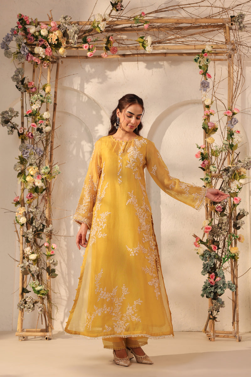 Vaayu Yellow Jaal Straight kurta Set organza , silk tencel kurta/kurta set by Niti Bothra in yellow for women Worldwide