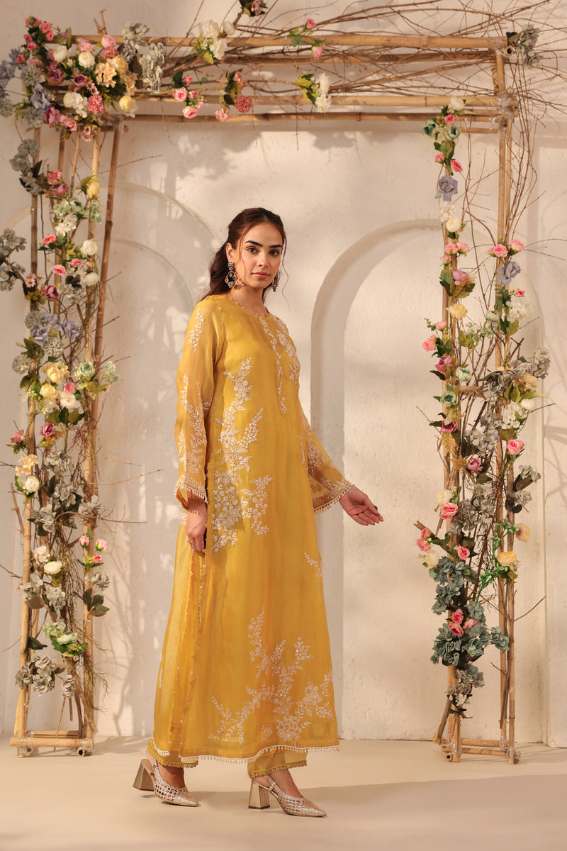 Vaayu Yellow Jaal Straight kurta Set organza , silk tencel kurta/kurta set by Niti Bothra in yellow for women Worldwide
