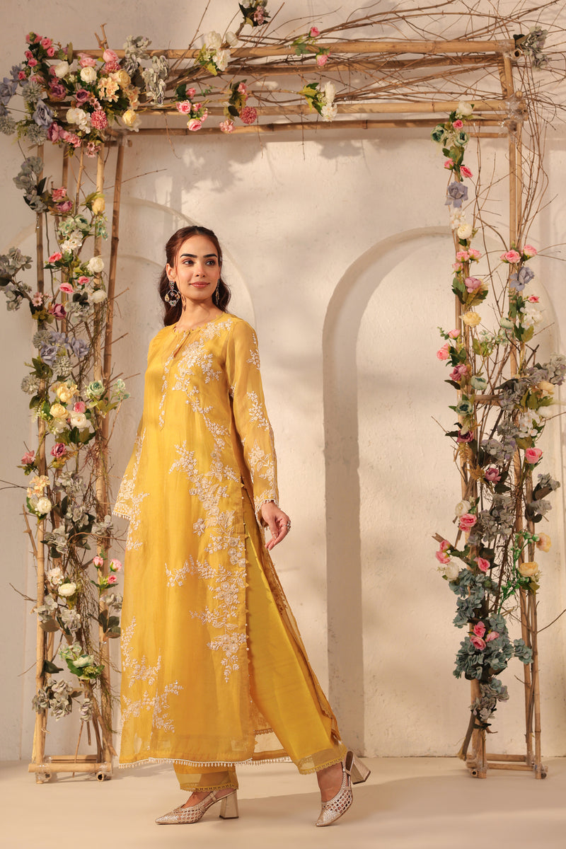Vaayu Yellow Jaal Straight kurta Set organza , silk tencel kurta/kurta set by Niti Bothra in yellow for women Worldwide