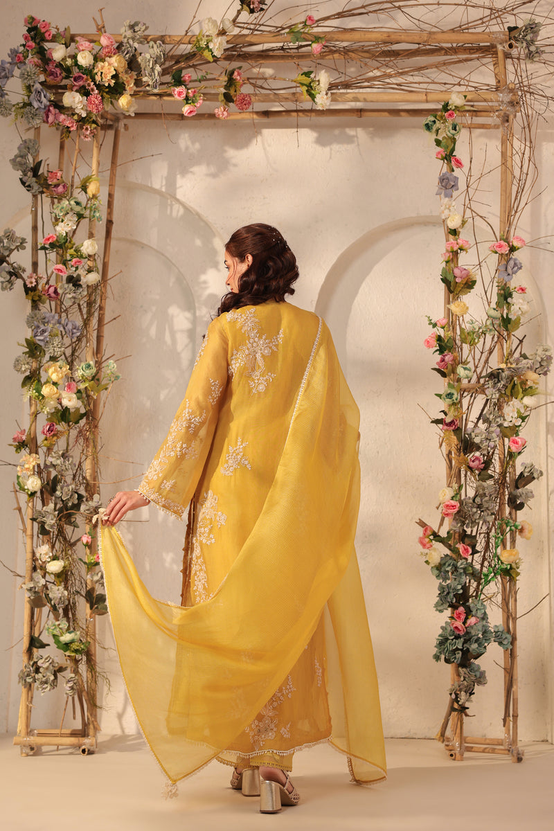 Vaayu Yellow Jaal Straight kurta Set organza , silk tencel kurta/kurta set by Niti Bothra in yellow for women Worldwide
