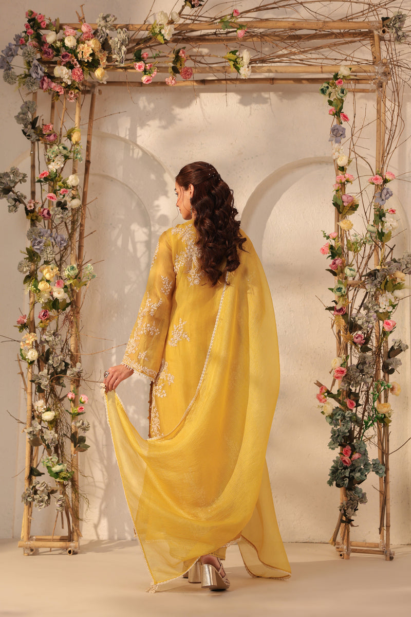 Vaayu Yellow Jaal Straight kurta Set organza , silk tencel kurta/kurta set by Niti Bothra in yellow for women Worldwide