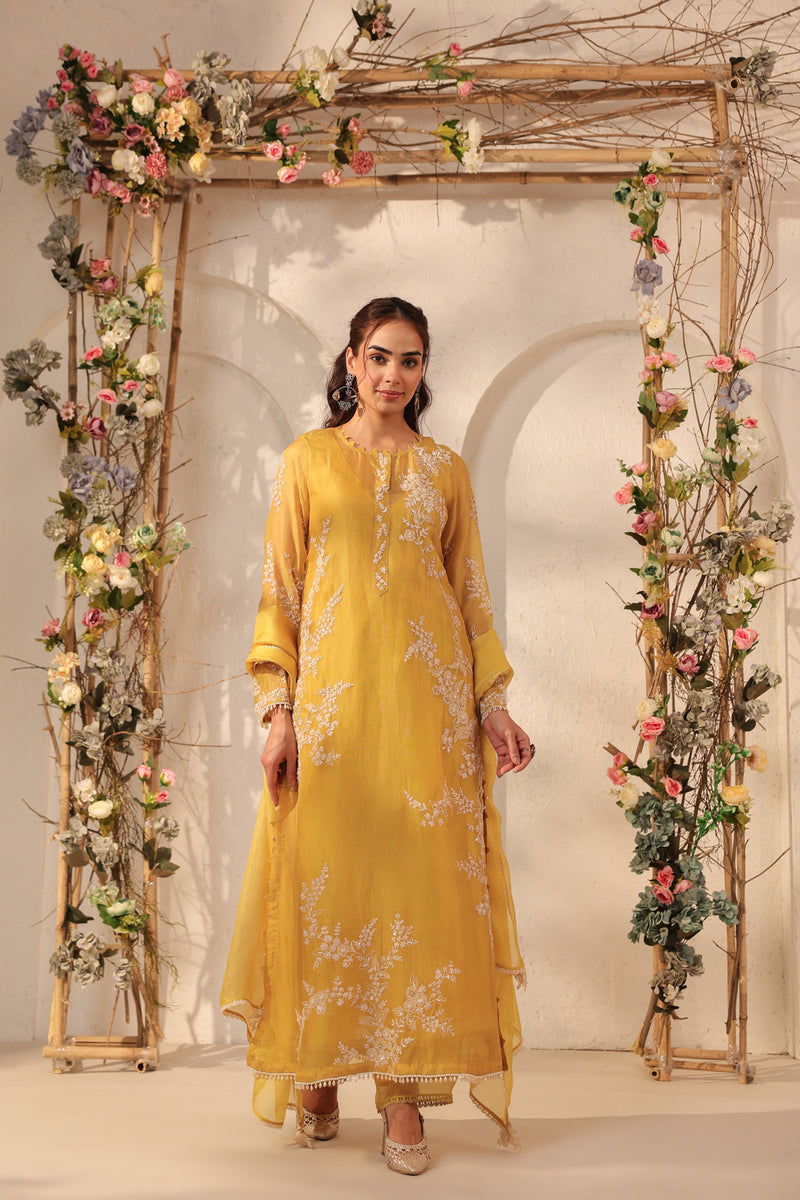 Vaayu Yellow Jaal Straight kurta Set organza , silk tencel kurta/kurta set by Niti Bothra in yellow for women Worldwide