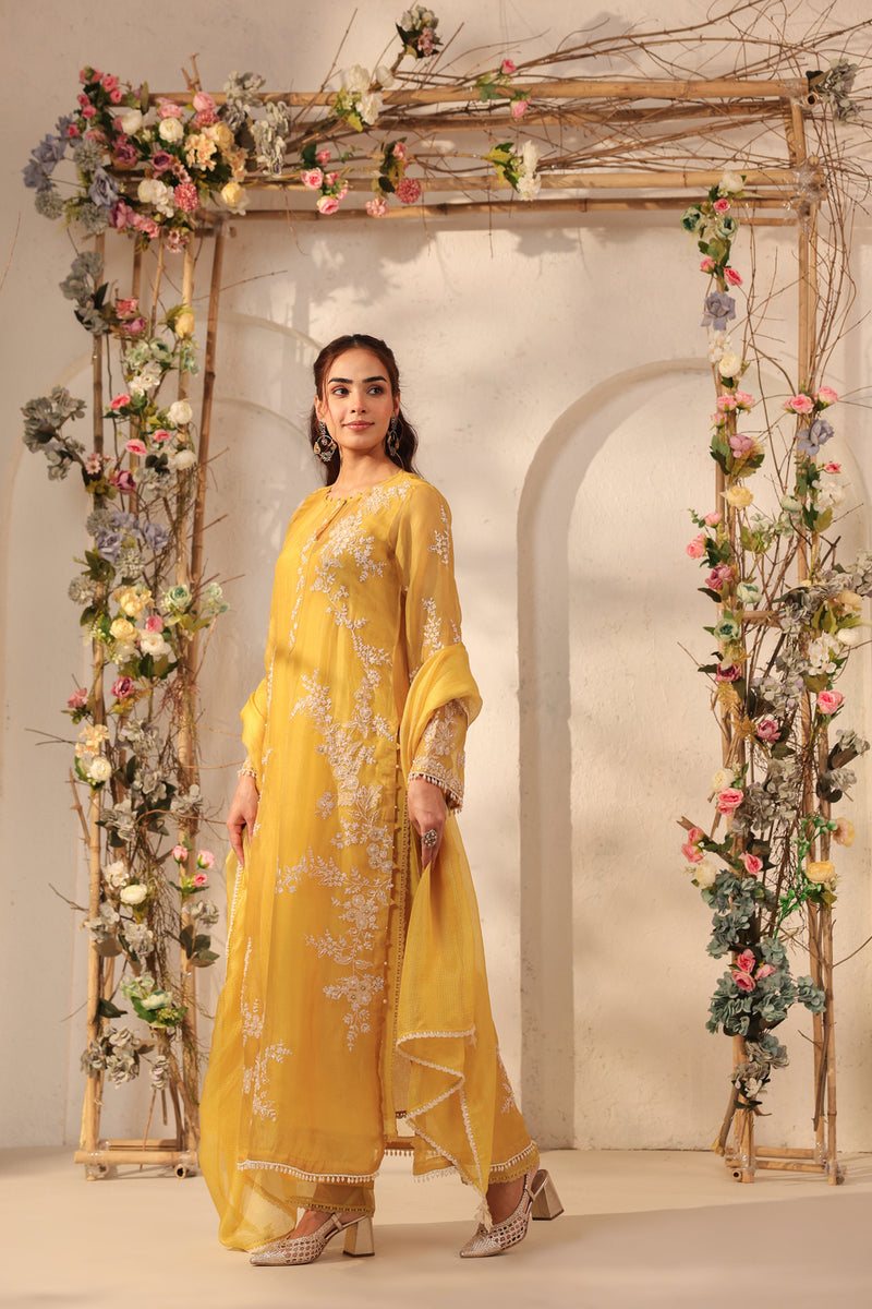 Vaayu Yellow Jaal Straight kurta Set organza , silk tencel kurta/kurta set by Niti Bothra in yellow for women Worldwide