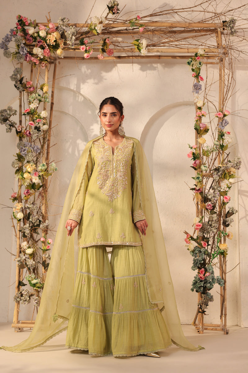 Vaayu Green Sharara Set silk chanderi kurta/kurta set by Niti Bothra in green for women Worldwide
