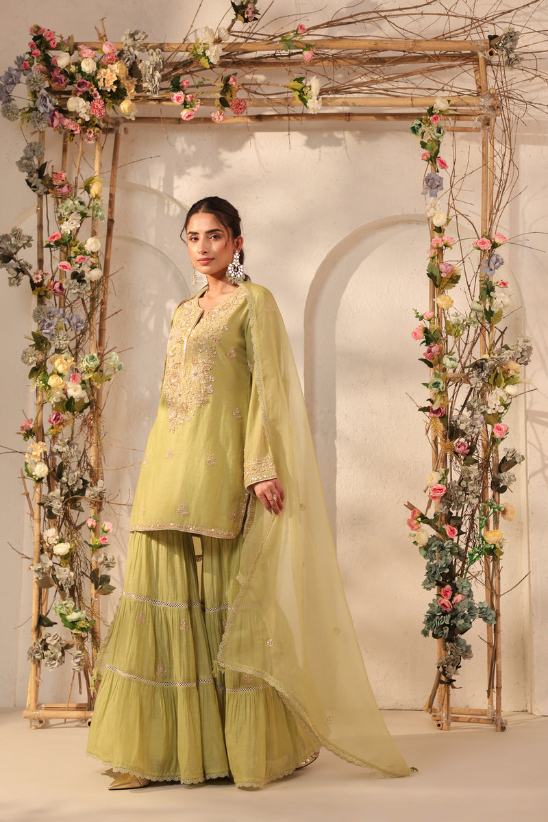 Vaayu Green Sharara Set silk chanderi kurta/kurta set by Niti Bothra in green for women Worldwide