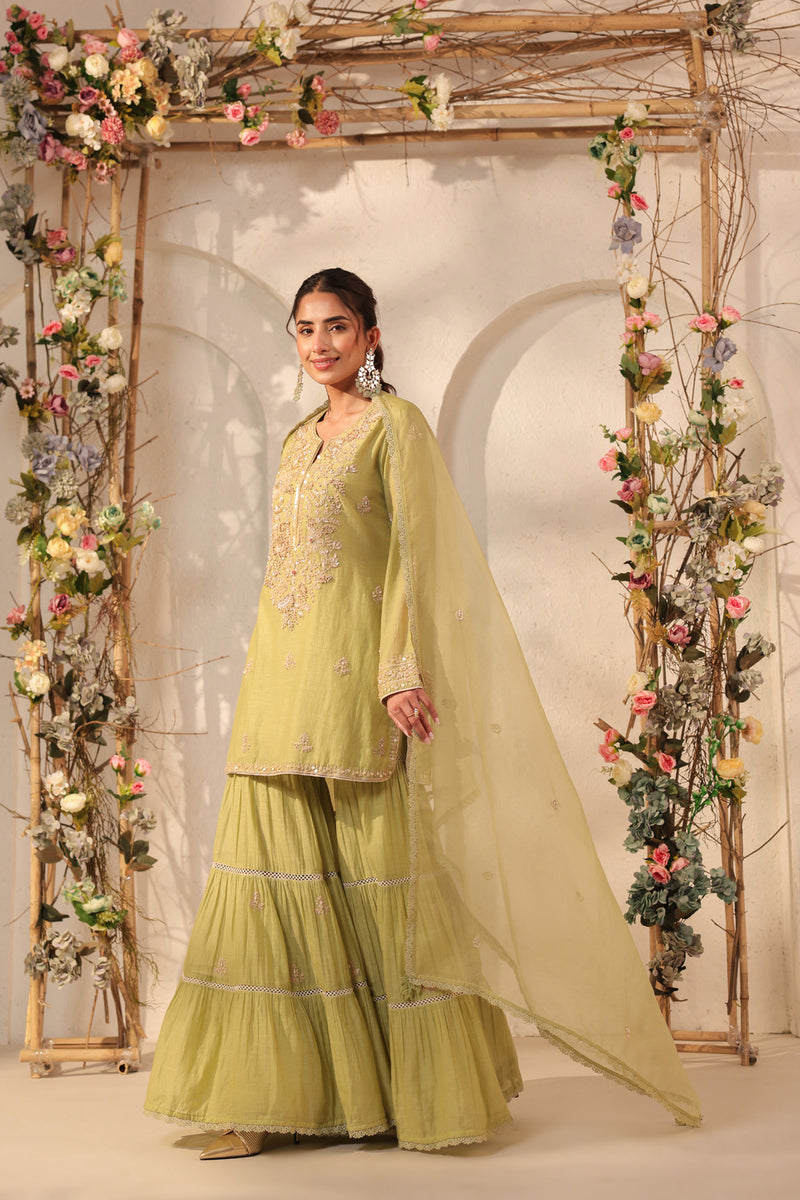 Vaayu Green Sharara Set silk chanderi kurta/kurta set by Niti Bothra in green for women Worldwide
