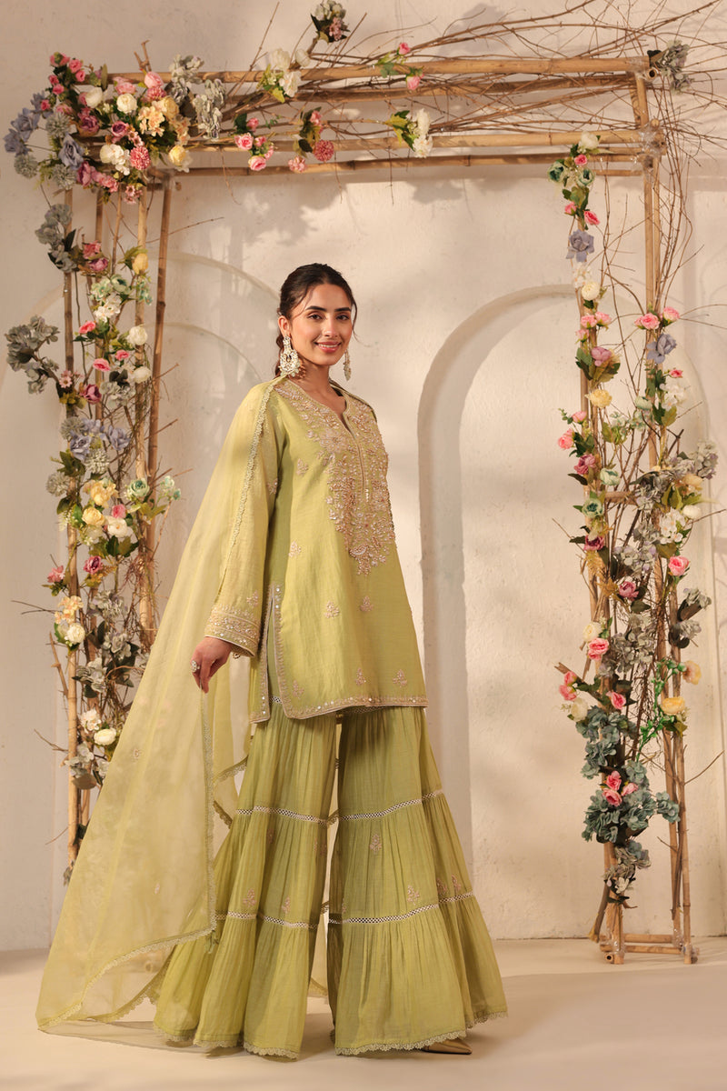 Vaayu Green Sharara Set silk chanderi kurta/kurta set by Niti Bothra in green for women Worldwide
