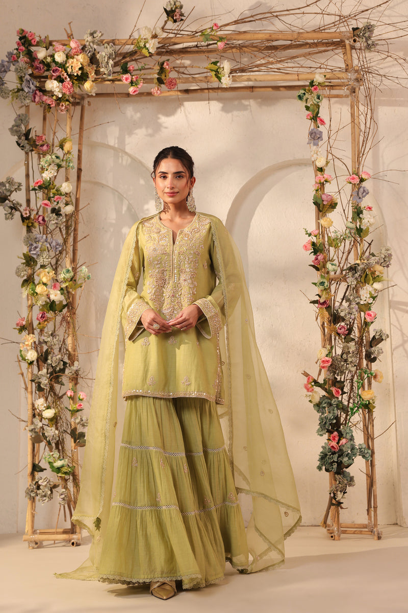 Vaayu Green Sharara Set silk chanderi kurta/kurta set by Niti Bothra in green for women Worldwide