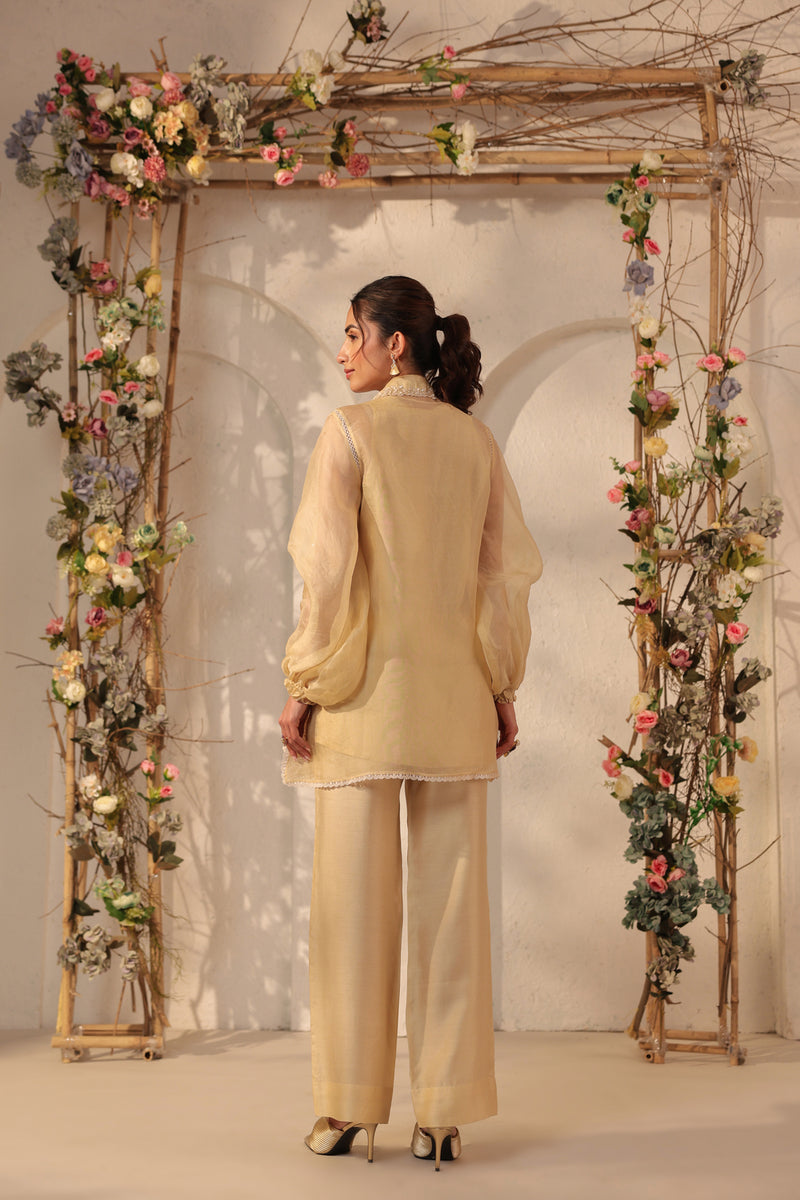 Vaayu Beige Jacket Co-ord Set organza , silk tencel kurta/kurta set by Niti Bothra in beige for women Worldwide