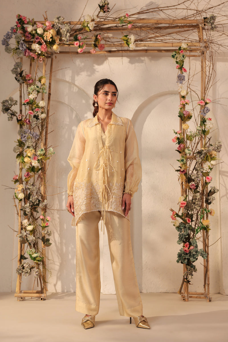 Vaayu Beige Jacket Co-ord Set organza , silk tencel kurta/kurta set by Niti Bothra in beige for women Worldwide