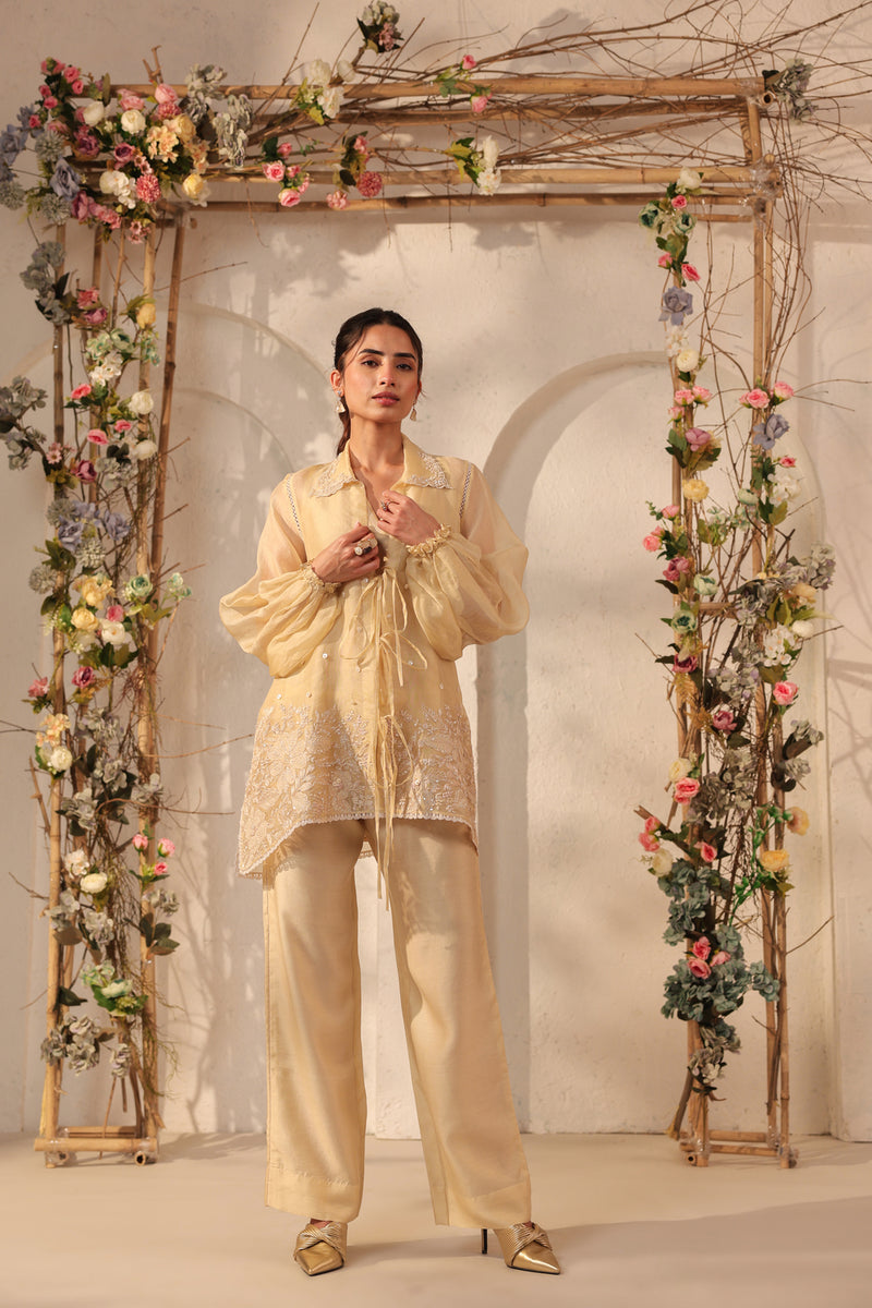 Vaayu Beige Jacket Co-ord Set organza , silk tencel kurta/kurta set by Niti Bothra in beige for women Worldwide