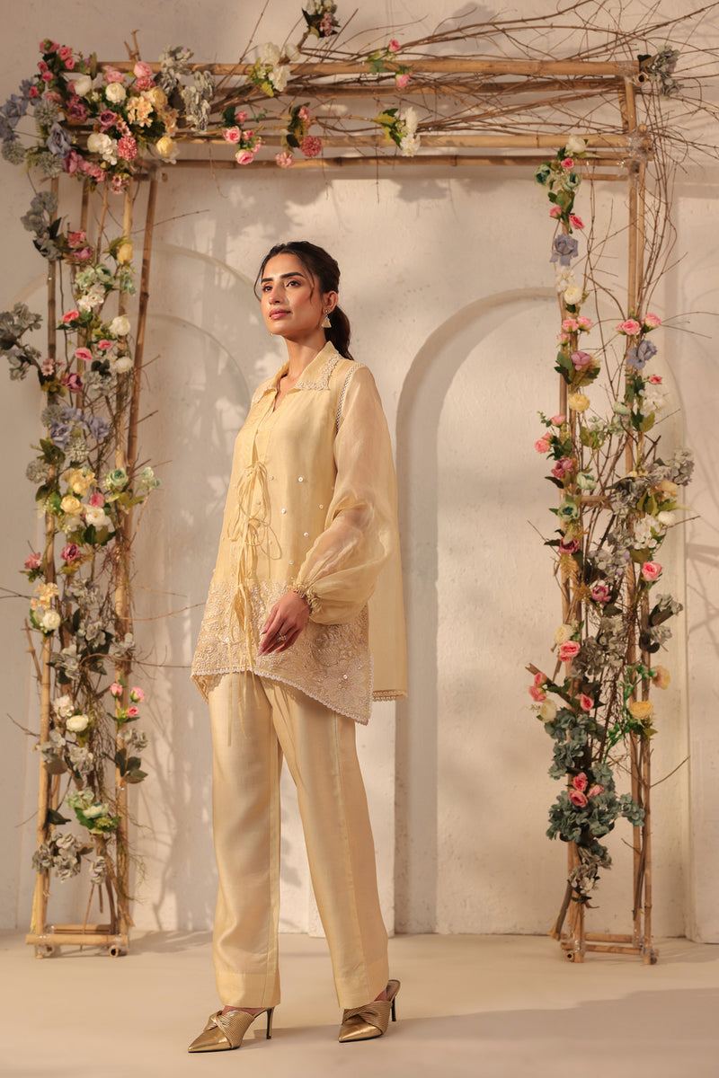 Vaayu Beige Jacket Co-ord Set organza , silk tencel kurta/kurta set by Niti Bothra in beige for women Worldwide