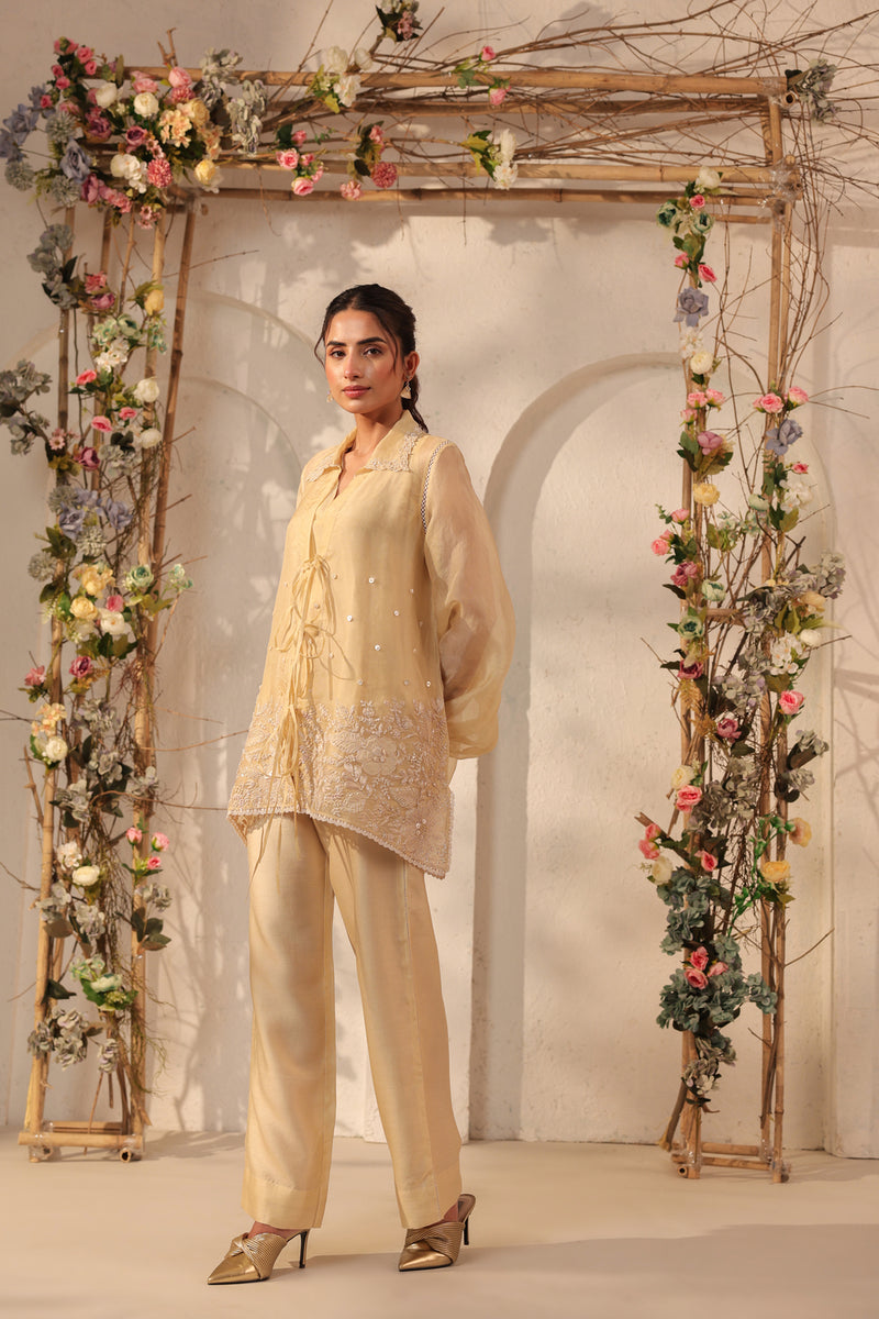 Vaayu Beige Jacket Co-ord Set organza , silk tencel kurta/kurta set by Niti Bothra in beige for women Worldwide