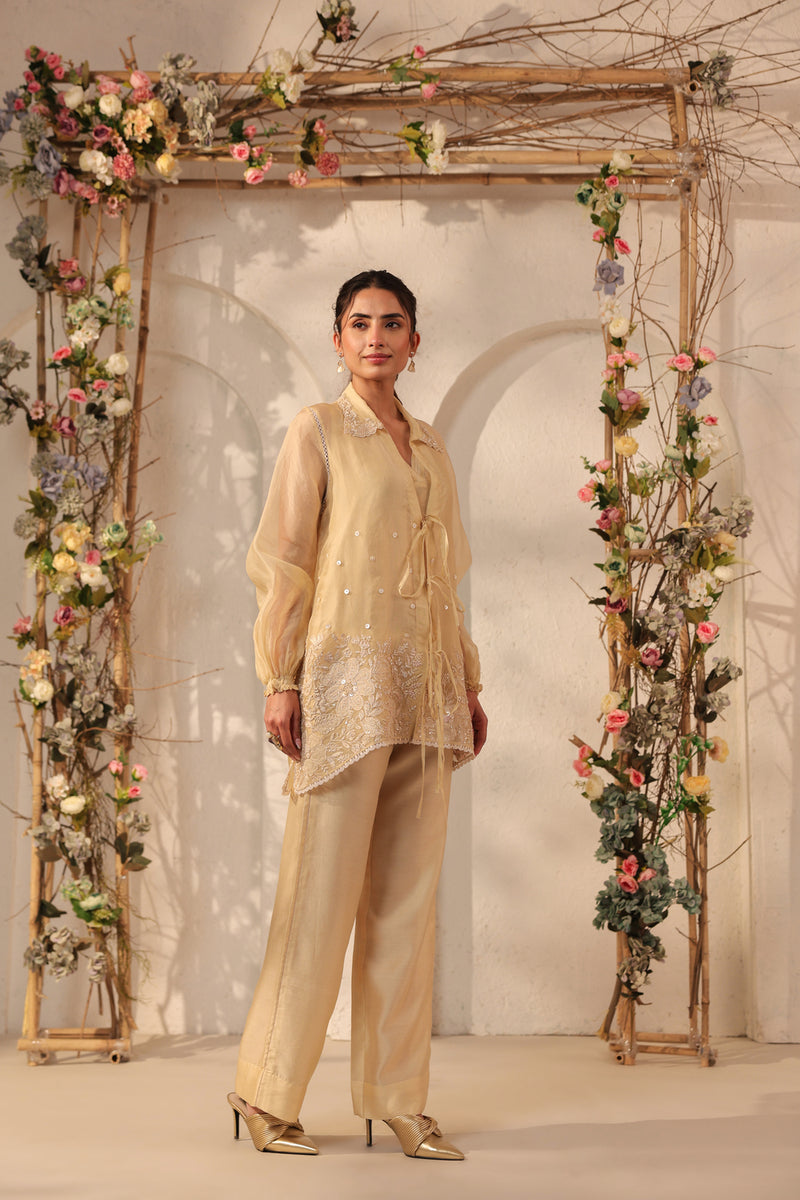 Vaayu Beige Jacket Co-ord Set organza , silk tencel kurta/kurta set by Niti Bothra in beige for women Worldwide