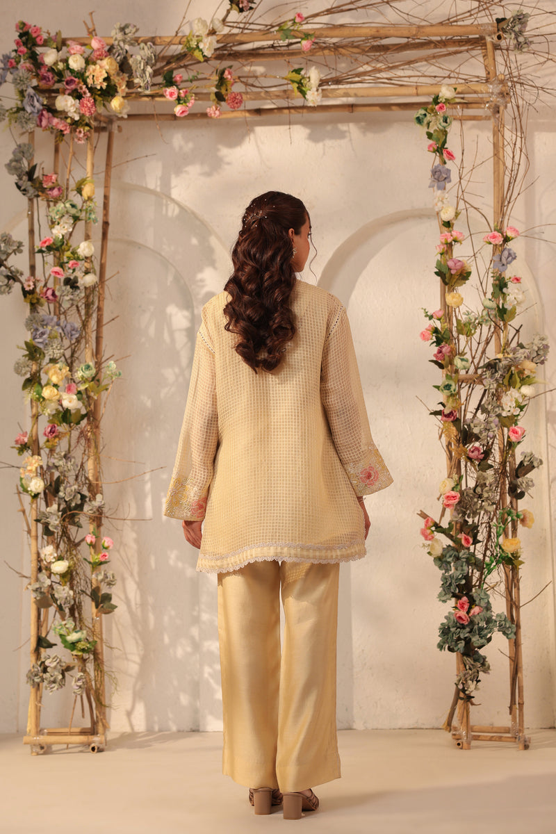 Vaayu Beige Applique Co-ord Set silk chanderi , silk tencel kurta/kurta set by Niti Bothra in beige for women Worldwide