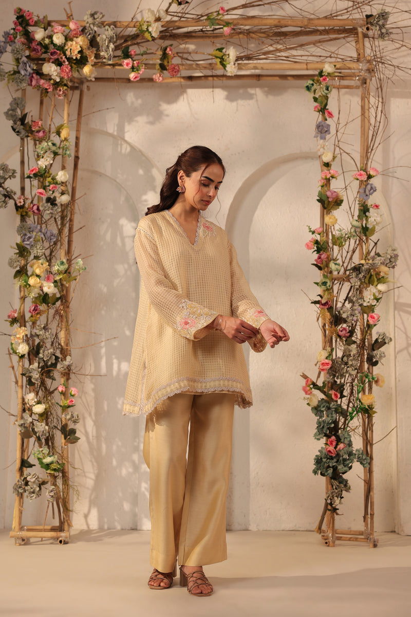 Vaayu Beige Applique Co-ord Set silk chanderi , silk tencel kurta/kurta set by Niti Bothra in beige for women Worldwide