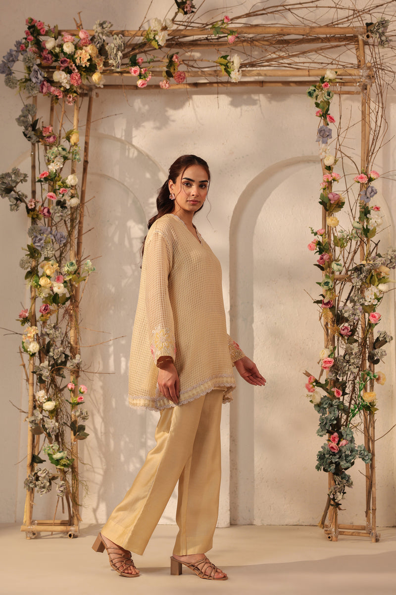Vaayu Beige Applique Co-ord Set silk chanderi , silk tencel kurta/kurta set by Niti Bothra in beige for women Worldwide