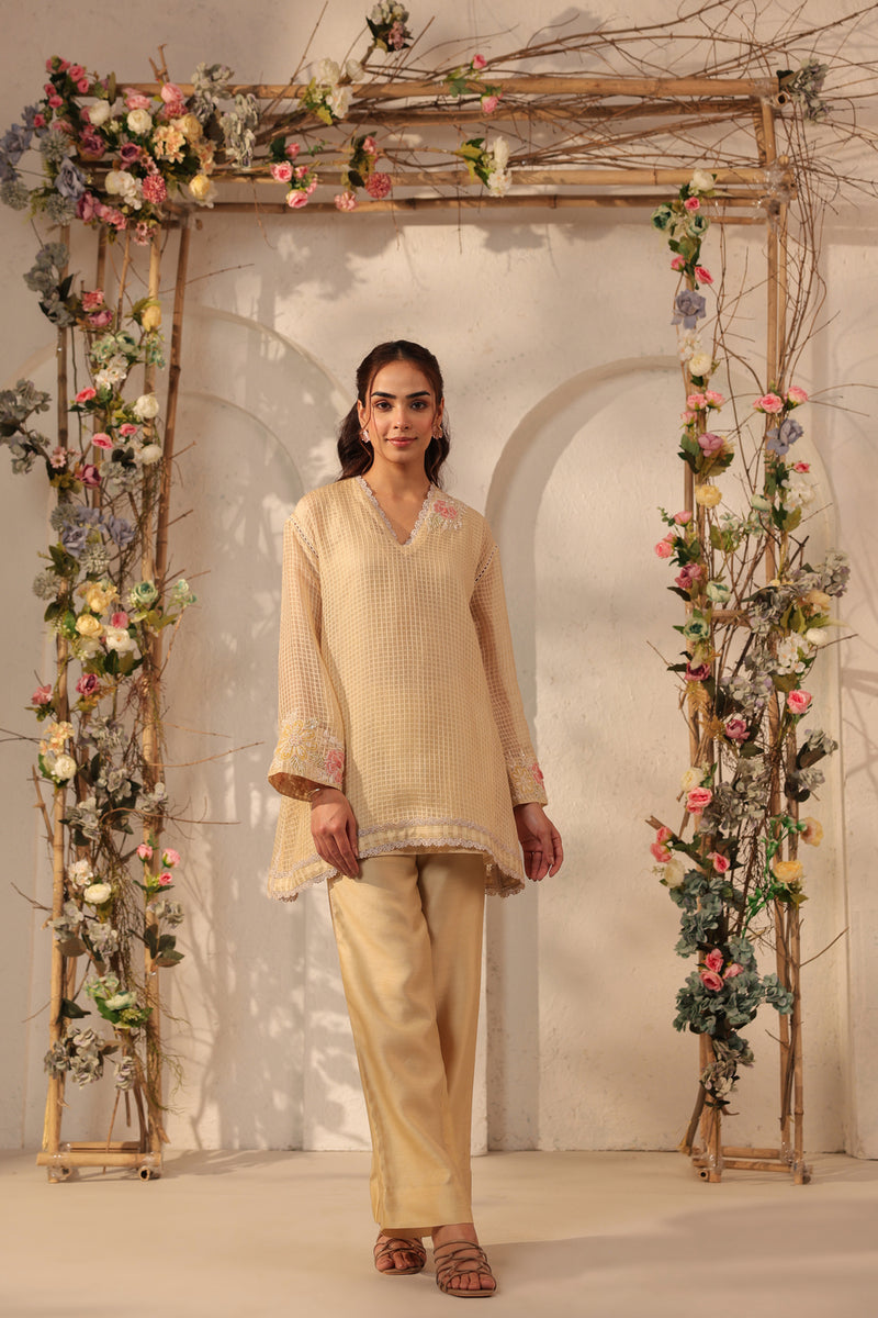 Vaayu Beige Applique Co-ord Set silk chanderi , silk tencel kurta/kurta set by Niti Bothra in beige for women Worldwide