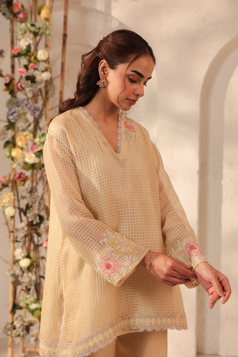 Vaayu Beige Applique Co-ord Set silk chanderi , silk tencel kurta/kurta set by Niti Bothra in beige for women Worldwide