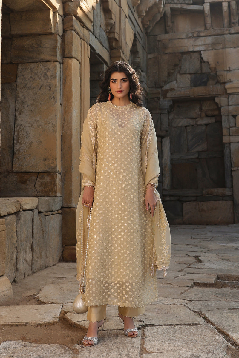 Vaayu Beige Buti Close Neck Kurta Set organza , silk tencel kurta/kurta set by Niti Bothra in beige for women Worldwide