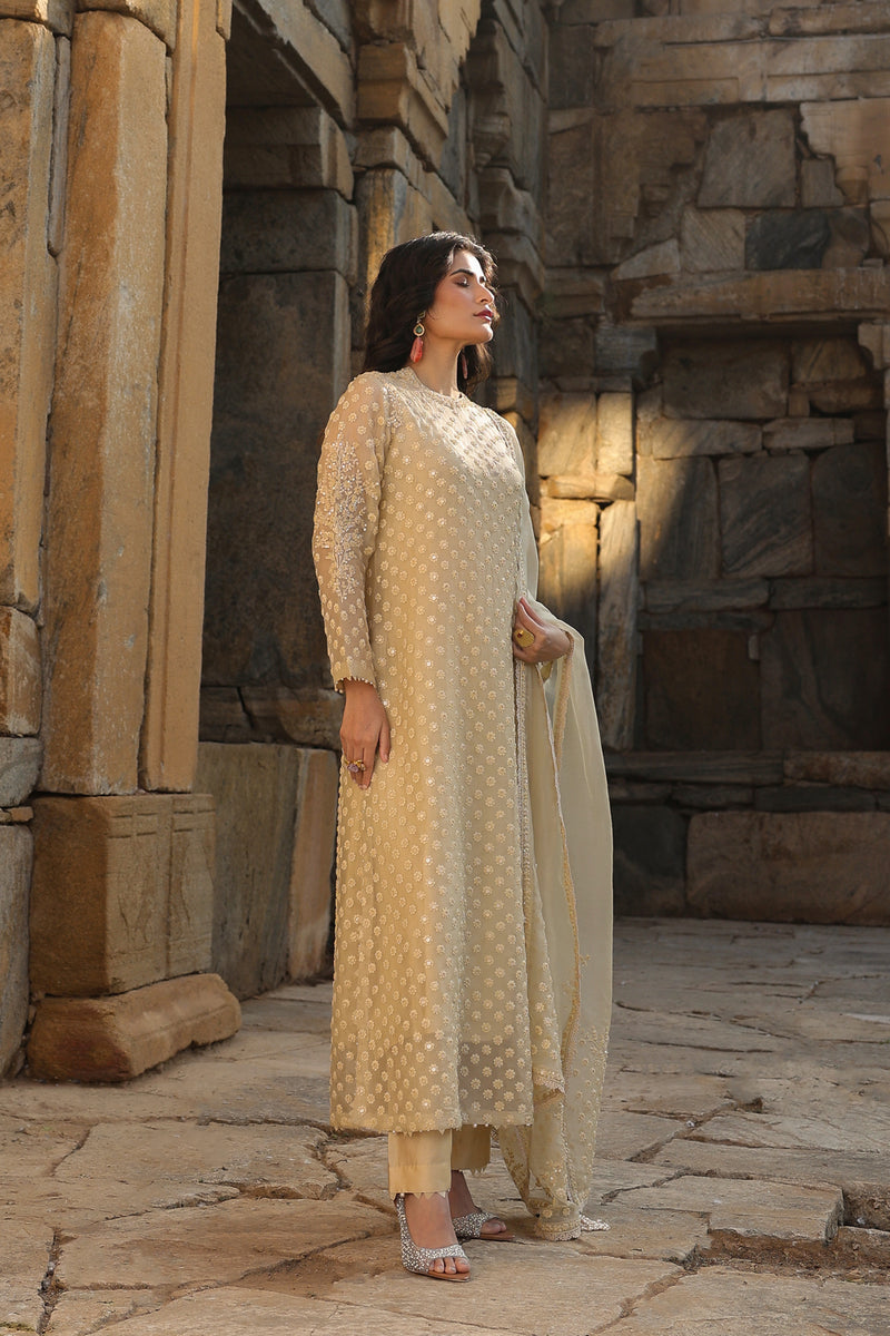 Vaayu Beige Buti Close Neck Kurta Set organza , silk tencel kurta/kurta set by Niti Bothra in beige for women Worldwide
